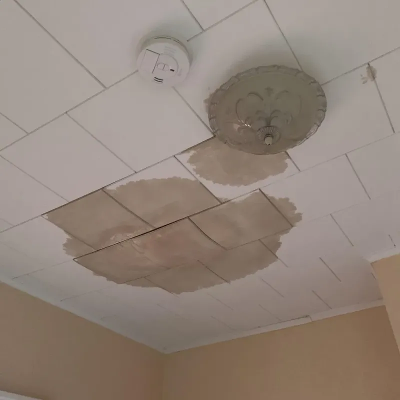 Ceiling Water Damage Repair in Wallingford, CT