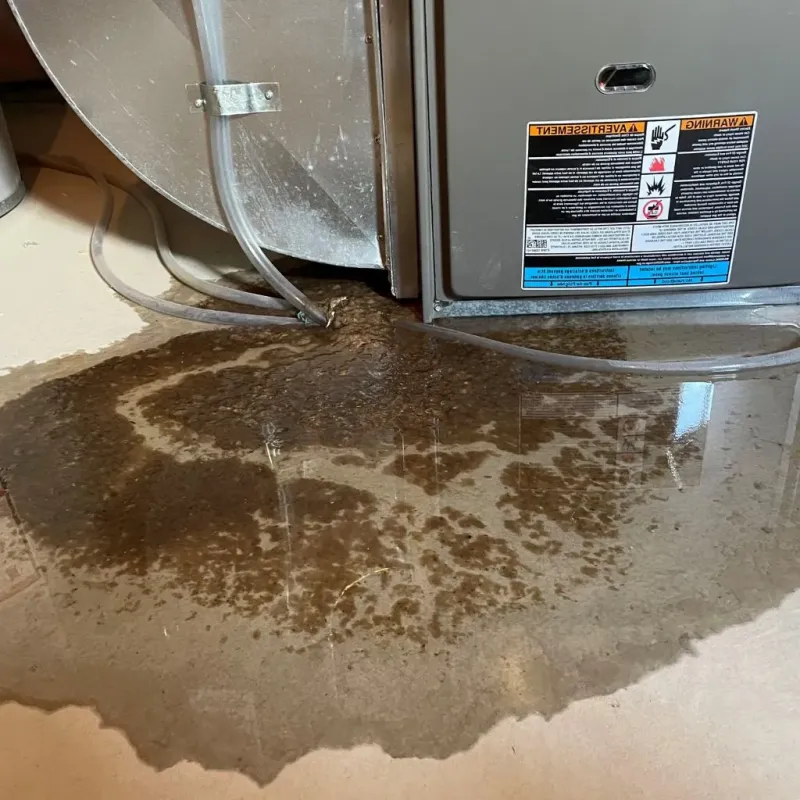 Pipe Burst and Leak Restoration in Wallingford, CT
